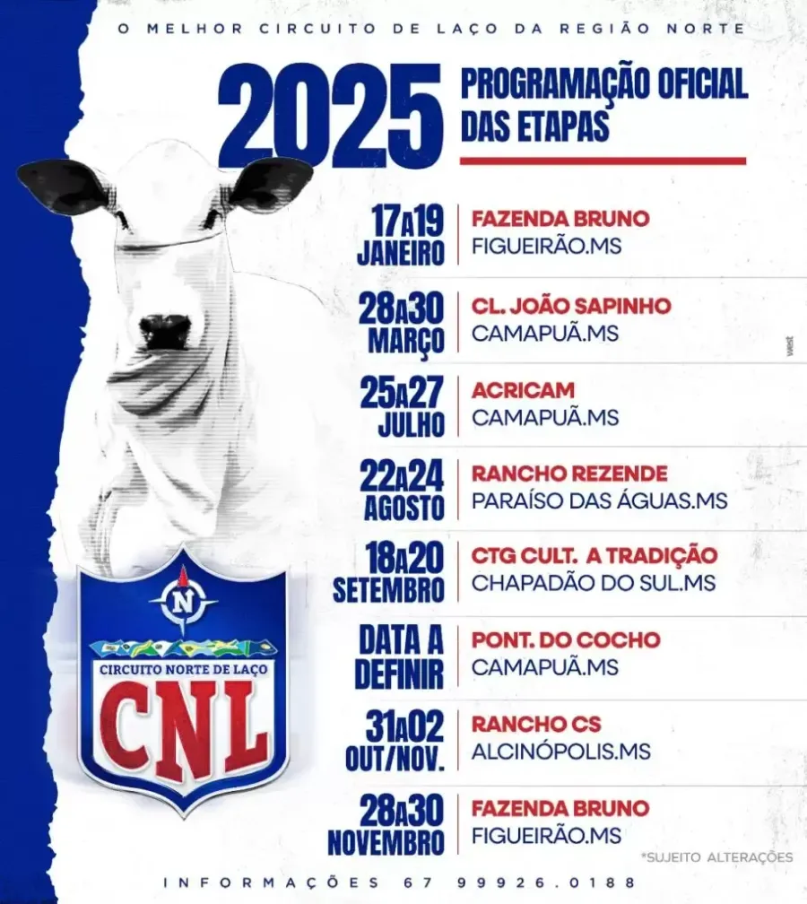 Imagem programacao-914x1024